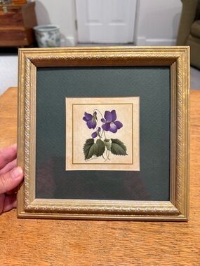 Framed Botanical Violet Print in Gold Frame